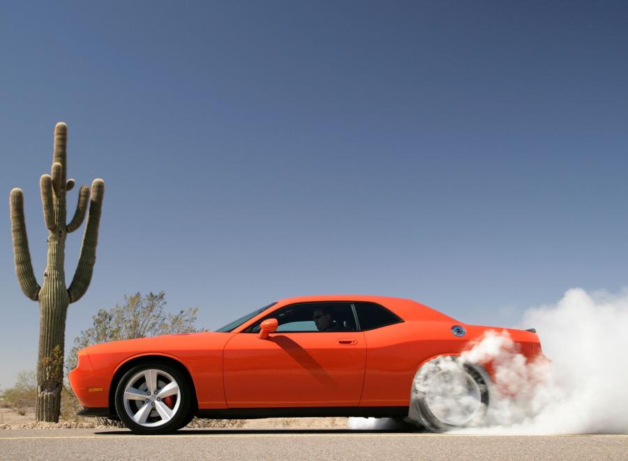  Dodge Challenger SRT8 2008 года  (фото 58 из 356)